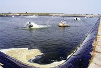 Bộ Tài chính cho rằng, nên triển khai đại trà bảo hiểm nông nghiệp.
